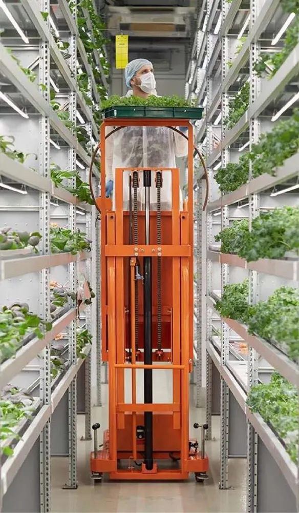 Indoor growing racks