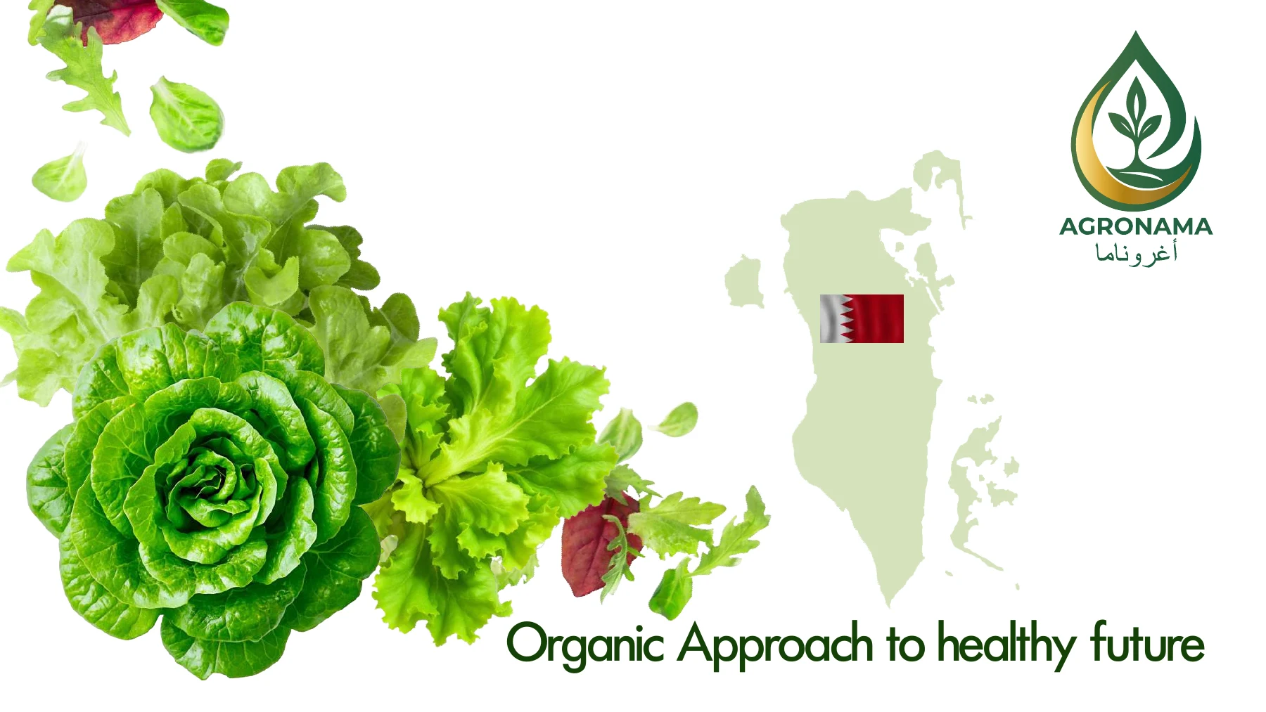 AGRONAMA — company, farming & markets